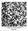Fig. 06 - Dried forms of aqueous solubilized bile acid dosage formulation: preparation and uses thereof