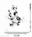 Fig. 07 - Dried forms of aqueous solubilized bile acid dosage formulation: preparation and uses thereof