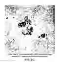 Fig. 08 - Dried forms of aqueous solubilized bile acid dosage formulation: preparation and uses thereof