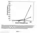 Fig. 07 - Pine cone extracts and uses thereof