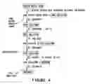 Fig. 06 - Birch bark processing and the isolation of natural products from birch bark
