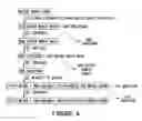 Fig. 08 - Birch bark processing and the isolation of natural products from birch bark
