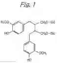Fig. 02 - Process for producing sdg and foods and drinks containing the same