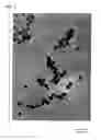 Fig. 02 - Composite sol process for producing the same and ink-jet recording medium