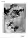 Fig. 03 - Composite sol process for producing the same and ink-jet recording medium