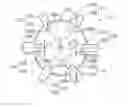 Fig. 01 - Structure to be grasped