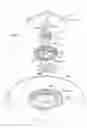 Fig. 08 - Structure to be grasped