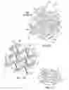 Fig. 03 - Active energy absorbing cellular metals and method of manufacturing and using the same