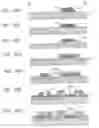Fig. 46 - Method for producing liquid crystal display apparatus