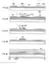 Fig. 09 - Substrate having film pattern and manufacturing method of the same, manufacturing method of semiconductor device, liquid crystal television, and EL television