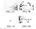 Fig. 04 - Gene screening method using nuclear receptor