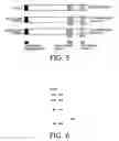 Fig. 06 - Gene screening method using nuclear receptor