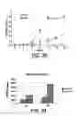 Fig. 08 - Methods and compositions for the differentiation of human preadipocytes into adipocytes