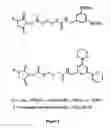 Fig. 06 - Methods and compositions related to tagging of membrane surface proteins