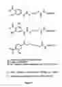 Fig. 08 - Methods and compositions related to tagging of membrane surface proteins