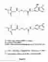 Fig. 09 - Methods and compositions related to tagging of membrane surface proteins