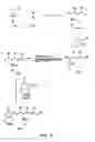 Fig. 05 - Fitness assay and associated methods