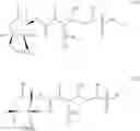 Fig. 09 - Fitness assay and associated methods