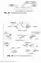 Fig. 03 - Nucleic acid detection kits