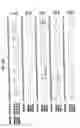 Fig. 07 - Nucleic acid detection kits