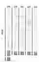 Fig. 08 - Nucleic acid detection kits
