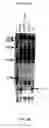 Fig. 103 - Nucleic acid detection kits