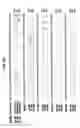 Fig. 13 - Nucleic acid detection kits