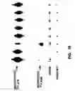 Fig. 32 - Nucleic acid detection kits