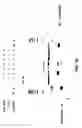 Fig. 40 - Nucleic acid detection kits