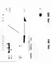 Fig. 41 - Nucleic acid detection kits