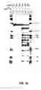 Fig. 49 - Nucleic acid detection kits