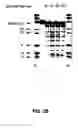Fig. 55 - Nucleic acid detection kits