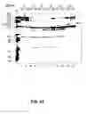 Fig. 59 - Nucleic acid detection kits