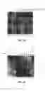 Fig. 79 - Nucleic acid detection kits