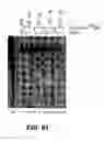 Fig. 80 - Nucleic acid detection kits