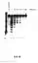 Fig. 85 - Nucleic acid detection kits