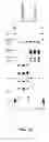 Fig. 89 - Nucleic acid detection kits