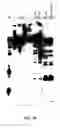 Fig. 96 - Nucleic acid detection kits