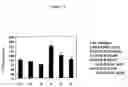 Fig. 06 - Polypeptide serving as angiogenic marker and dna thereof