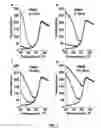 Fig. 08 - Tripartite molecular beacons