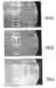 Fig. 02 - Irreversible colloidal chanis with recognition sites