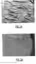 Fig. 03 - Irreversible colloidal chanis with recognition sites