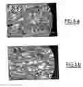 Fig. 05 - Irreversible colloidal chanis with recognition sites