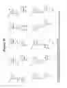 Fig. 11 - RNA interference mediated inhibition of proliferating cell nuclear antigen (PCNA) gene expression using short interfering nucleic acid (siNA)