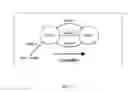 Fig. 22 - Method for studying cellular chronomics and causal relationships of genes using fractal genomics modeling