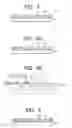 Fig. 05 - Probe carrier, probe fixing carrier and method of manufacturing the same