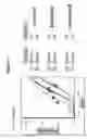 Fig. 12 - Differential enzymatic fragmentation