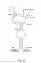 Fig. 03 - Self-cleaving ribozymes and uses thereof