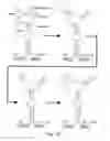 Fig. 04 - Self-cleaving ribozymes and uses thereof