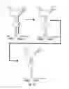 Fig. 05 - Self-cleaving ribozymes and uses thereof